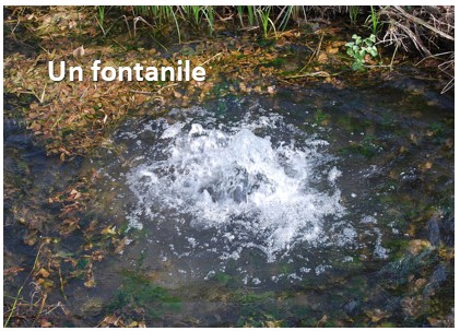 fontanile