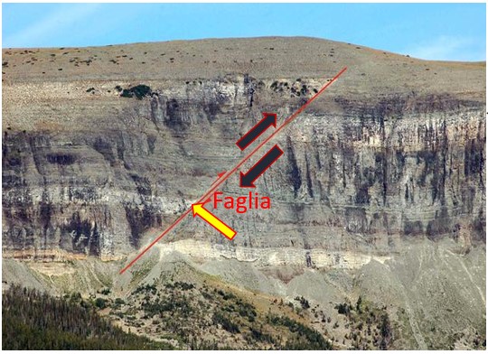 faglia