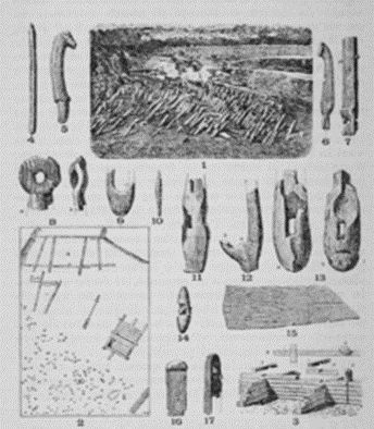 disegno