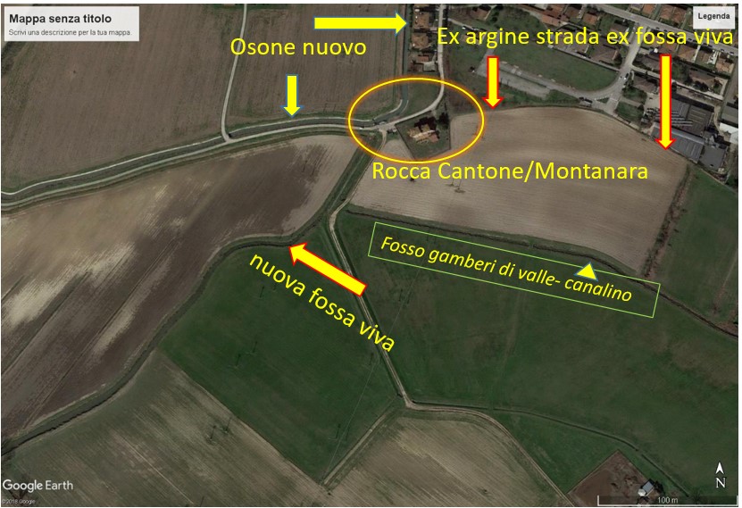 ex argine