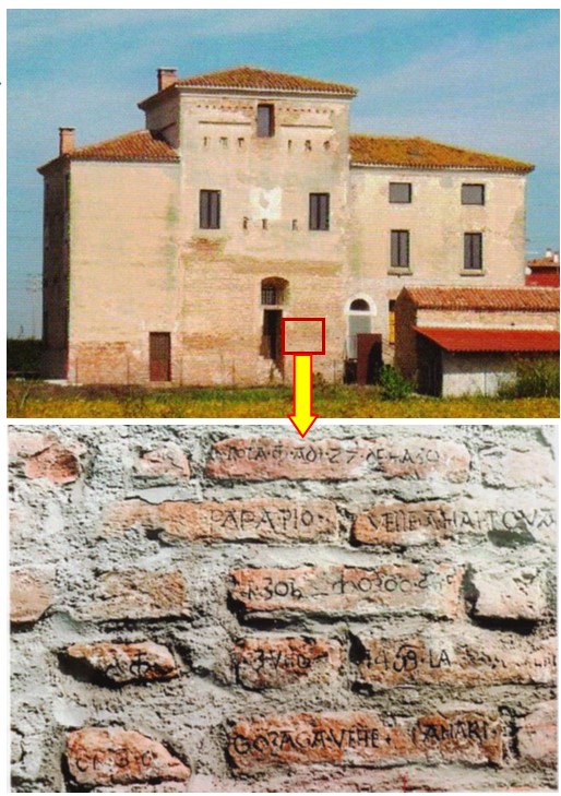 montanara