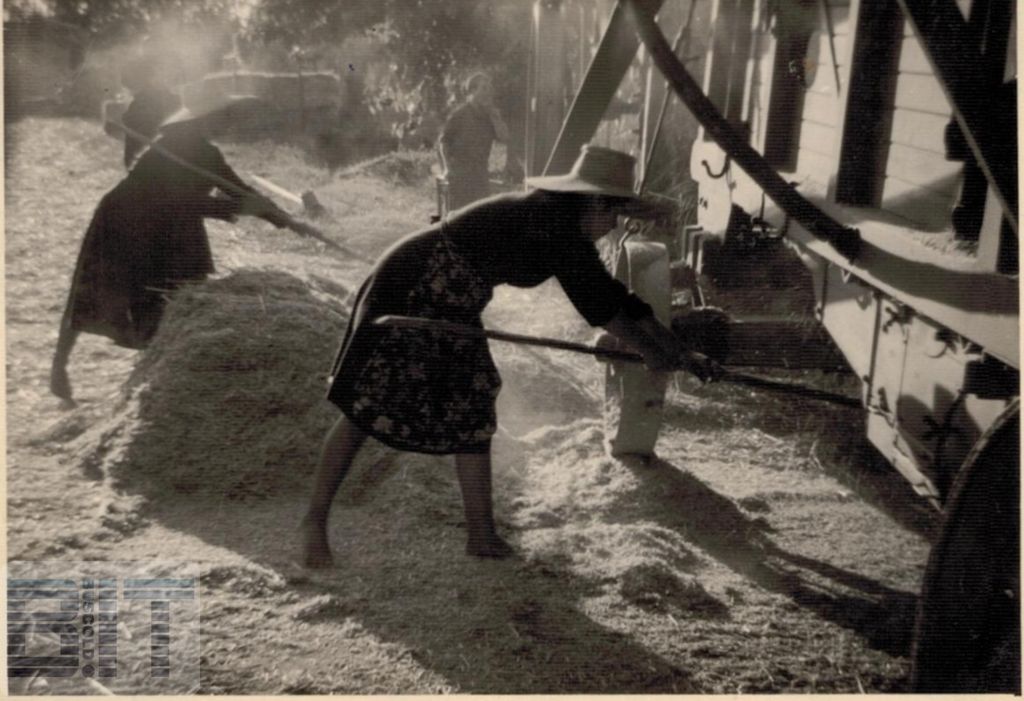 Archivio Pizzamiglio - battitura del grano a macchina